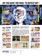 Power Instinct - Advertisement Flyer - Back (North America)