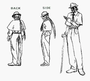 Falco design.jpg (46 KB)