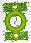 Dkrtzy RRR.jpg (72 KB) Dkrtzy Rrr (DC Comics)