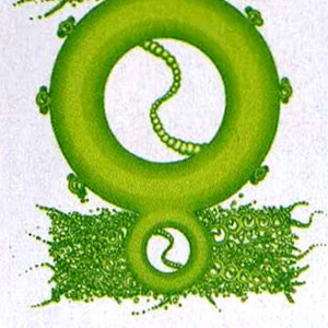 Discuss Everything About Superpower Wiki | Fandom