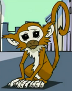 ...after the destruction of the twelve talisman, Haiku became the noble monkey and inherited the monkey talisman power of Shapeshifting.