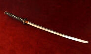 The katana is considered a ninja's signature weapon.