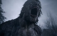 Lycans (Resident Evil) humans infected mutated by the Mold and Cadou parasite into canine-like monsters.