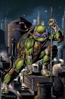 Donatello (Teenage Mutant Nina Turtles) is a master of bōjutsu. He is able to use his staff for defensive maneuvers and counterattacks but can also deliver powerful strikes.