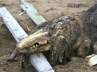 SCP-682 (The SCP Foundation)
