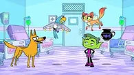 Teen Titans (Teen Titans Go!) gained the ability to turn into animals from Beast Boy’s Blood.