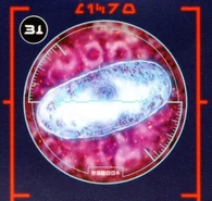 Midi-chlorians (Star Wars) are the source of a Force-sensitive's connection to the Force itself.