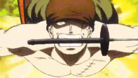 One Piece Zoro Cuts Meteor in Half