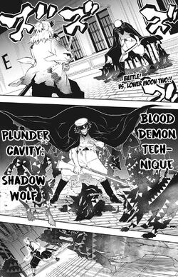 Plunder Cavity - Shadow Wolf.jpg