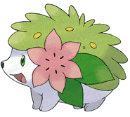 Shaymin (Pokémon)