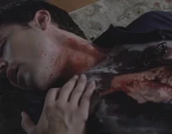 Healing Peter.jpg (72 KB) Jeremy Greer (Heroes) can heal the wounds of whoever he touches.