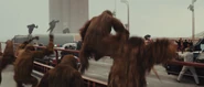 Orangutans (Planet of the Apes "Film Series")