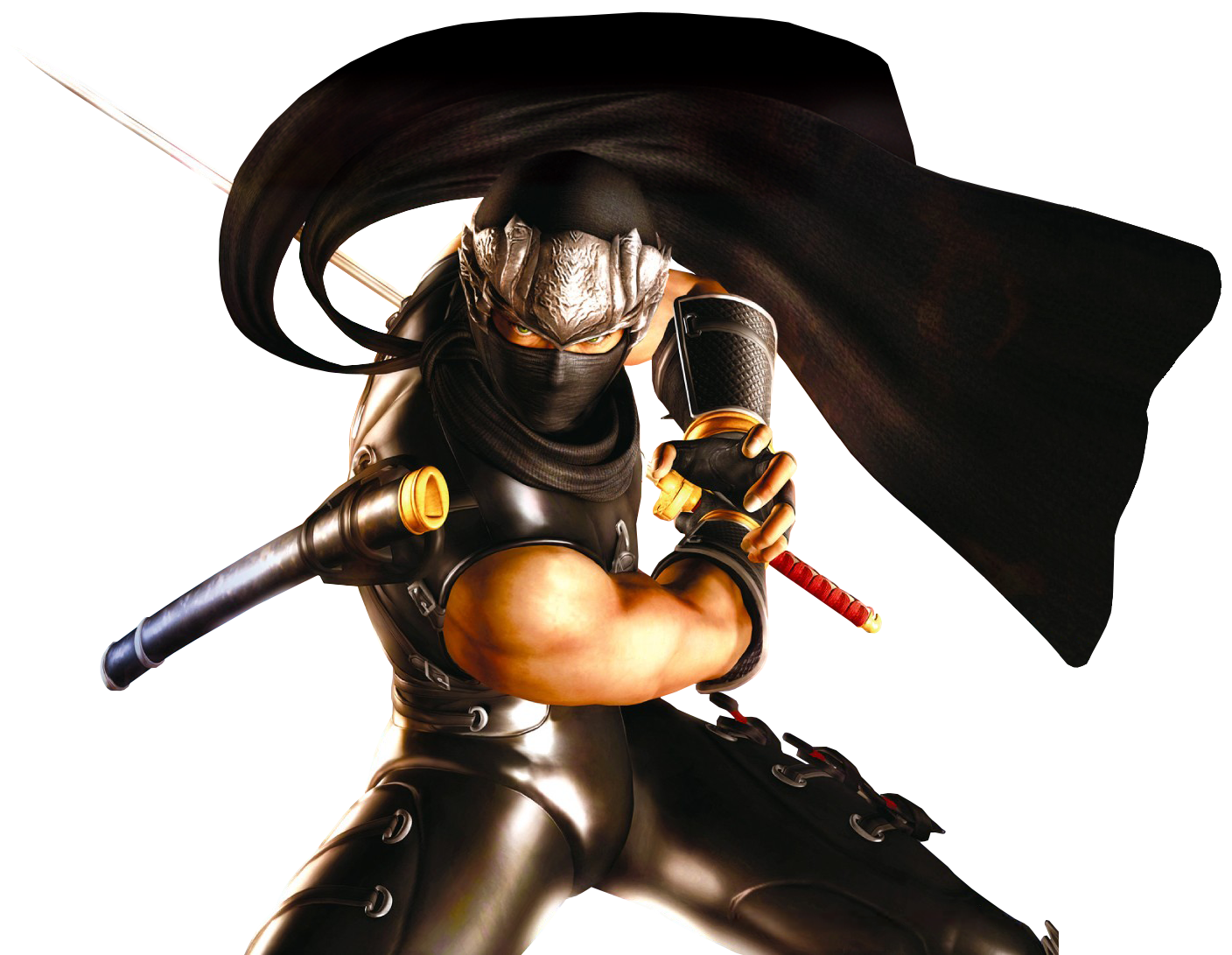 Ninja Gaiden (Video Game) - TV Tropes