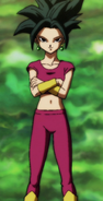 Kefla (Dragon Ball Super) is the Potara fusion of Kale and Caulifla.