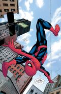 Peter Parker/Spider-Man's (Marvel Comics) agility, balance, and bodily coordination are all enhanced to levels that are far beyond the natural physical limits of the finest human athlete.