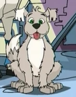 Scruffy.png (135 KB) …after the destruction of the twelve talisman, Scruffy became the noble dog and inherited the dog talisman power of Immortaliy.