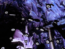 Unown (Pokémon).gif