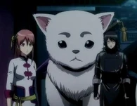 Sadaharu (Gintama) is a massive dog, standing at 5'7 and weighing over 600 pounds.