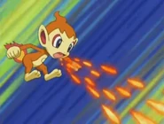 Chimchar Ember