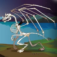 Fluffy.jpg (67 KB) Fluffy (Dragonfable) is a textbook skeleton dragon.