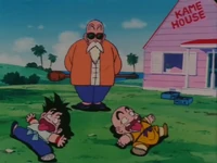 Master Muten Rōshi (Dragon Ball series) trained Son Goku, Krillin, and Yamucha in the Kame-Sennin Ryu style of martial arts, teaching them to break through their limitations and push their bodies to superhuman levels...
