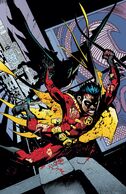 Tim Drake/Red Robin (DC COmics)