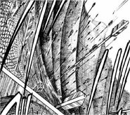 INAMI 3.jpg (141 KB) Inami's Net of Hair (Fushigi Yuugi: Genbu Kaiden)