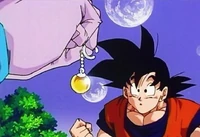 Potara-earring-2.jpg (44 KB) Potara Earrings (Dragon Ball series) can fuse any two individuals together when said individuals each wear one earring on opposite ears...