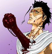 Grimmjow Jaegerjaquez (Bleach) tears out Askin Nakk Le Varr's heart.