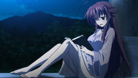 Rias Gremory (Highschool DxD) is an excellent scholar particularly in occultism.