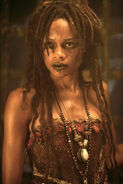 Calypso (Pirates of the Caribbean series) can use her magic to transform beings into different forms, such as reversing Hector Barbossa's undead state and briefly lift her lover Jones from his curse form and turn him into the man he once was.