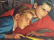 Frank and Joe Hardy (The Hardy Boys)