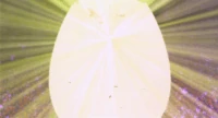 Omnimon (Digimon Movie)