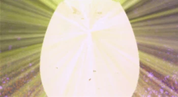 Omnimon’s (Digimon Movie) birth