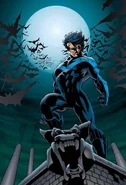 327px-Nightwing 0003.jpg (26 KB) Like his mentor, Dick Grayson (DC Comics) is a great tactician who always seeks to fight smarter rather than harder.