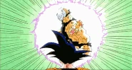 Goku's Step (Dragon Ball Z)