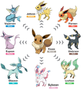 Eeveelutions.png (263 KB) Eevee (Pokémon) can evolve into 8 different evolutionary forms and adapt to any environment.