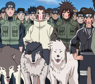 The Inuzuka Clan (Naruto) work together with their Ninja Dogs to make their already strong attacks, even more so.