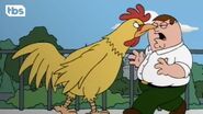 The First Chicken Fight - Family Guy - TBS