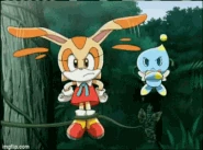 Cream the Rabbit (Sonic X) uses Cheese as a throwing weapon.