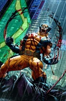 Wolverine Berserker Rage