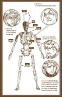Holy Corpse Parts (JoJo's Bizarre Adventure Part 7: Steel Ball Run)