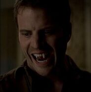 Warlow (True Blood) is the only known Male Fairy Vampire hybrid.