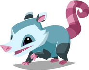 Opossoms (Animal Jam)