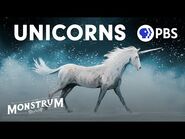 Unicorns- Magical Icons or Violent Beasts? - Monstrum-2