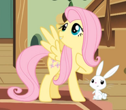 Fluttershy (My Little Pony: Friendship Is Magic) is able to calm down the most fearsome of beasts with her kindness.