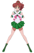 Sailor Jupiter (Sailor Moon), the Sailor Scout of Thunder and Courage.