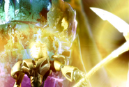 Takanuva (Bionicle) channeling his immense light powers.