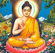 Buddha (Buddhism) is a great philosopher, spiritual teacher, and religious leader who founded Buddhism, based on his spiritual insight and teaching which further influences the Buddhist scriptures.