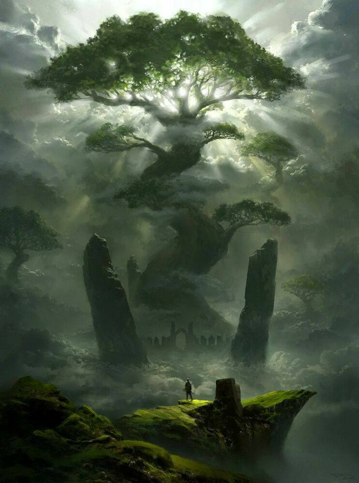 Celtic sacred trees - Wikipedia